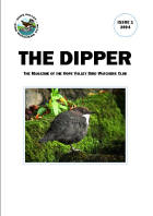 Issue 1 - 2004