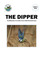 Issue 3 - 2008