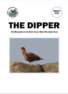 Issue 4 - 2010