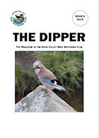 Issue 6 - 2014