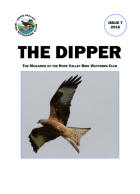 Issue 7 - 2016
