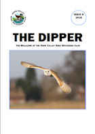 Issue 8 - 2018