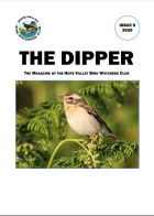 Issue 9 - 2020