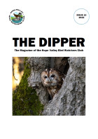 Issue 10 - 2022